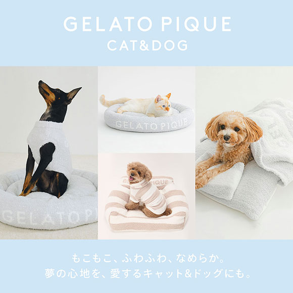 ジェラートピケ CAT&DOG 販路限定商品 モチーフ柄リード gelato pique